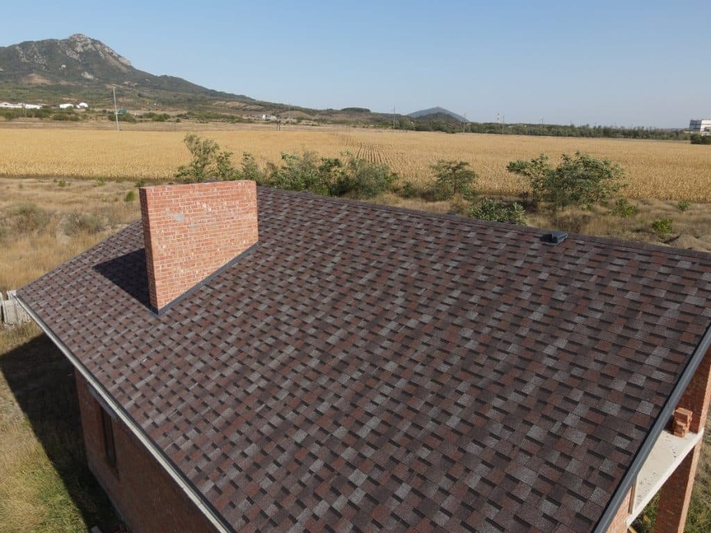 ДРАКОН Слива – Строймарт-Ю фото